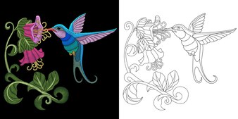 Page peacock animal coloring page images