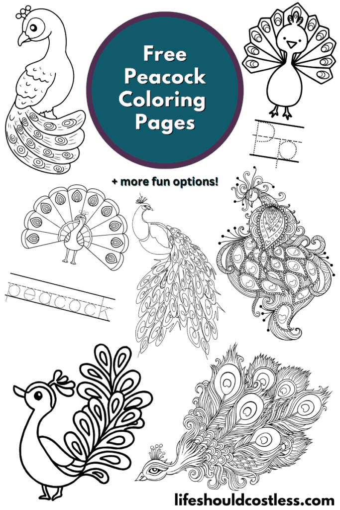 Peacock coloring pages free printable pdf templates