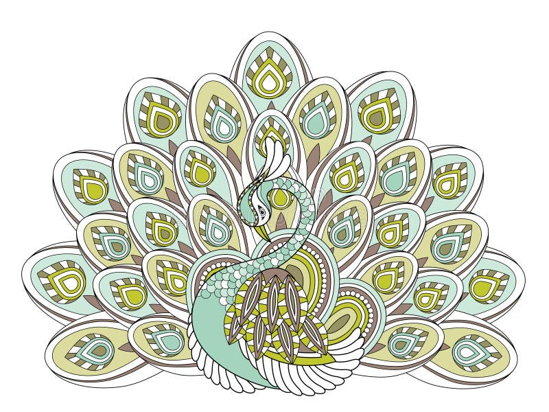 Graceful peacock coloring page stock vector