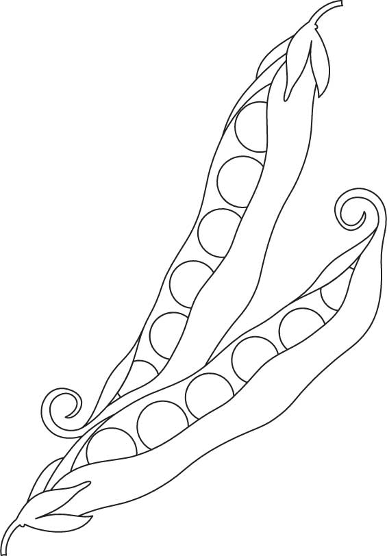 Peas vegetable coloring page download free peas vegetable coloring page for kids best coloring pages