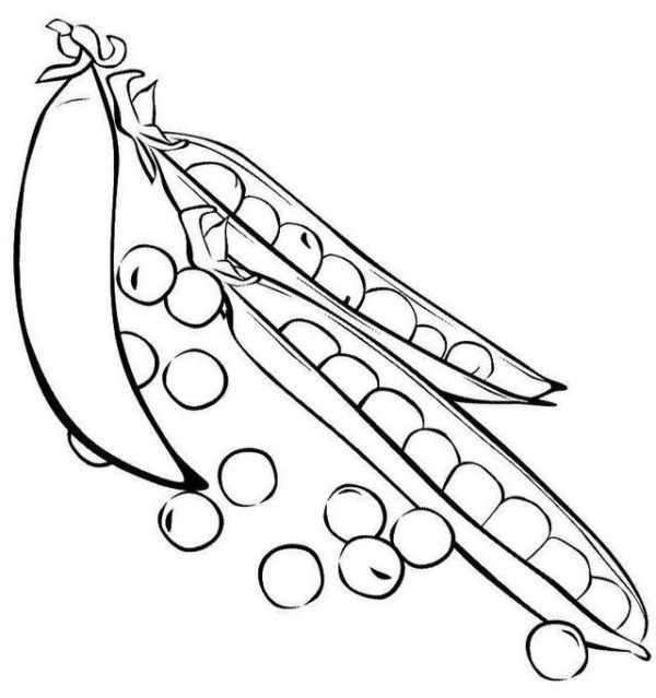 Free peas coloring pages printable pdf