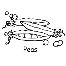 Peas coloring page