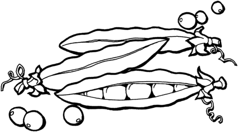 Peas coloring page free coloring pages coloring pages free coloring pictures