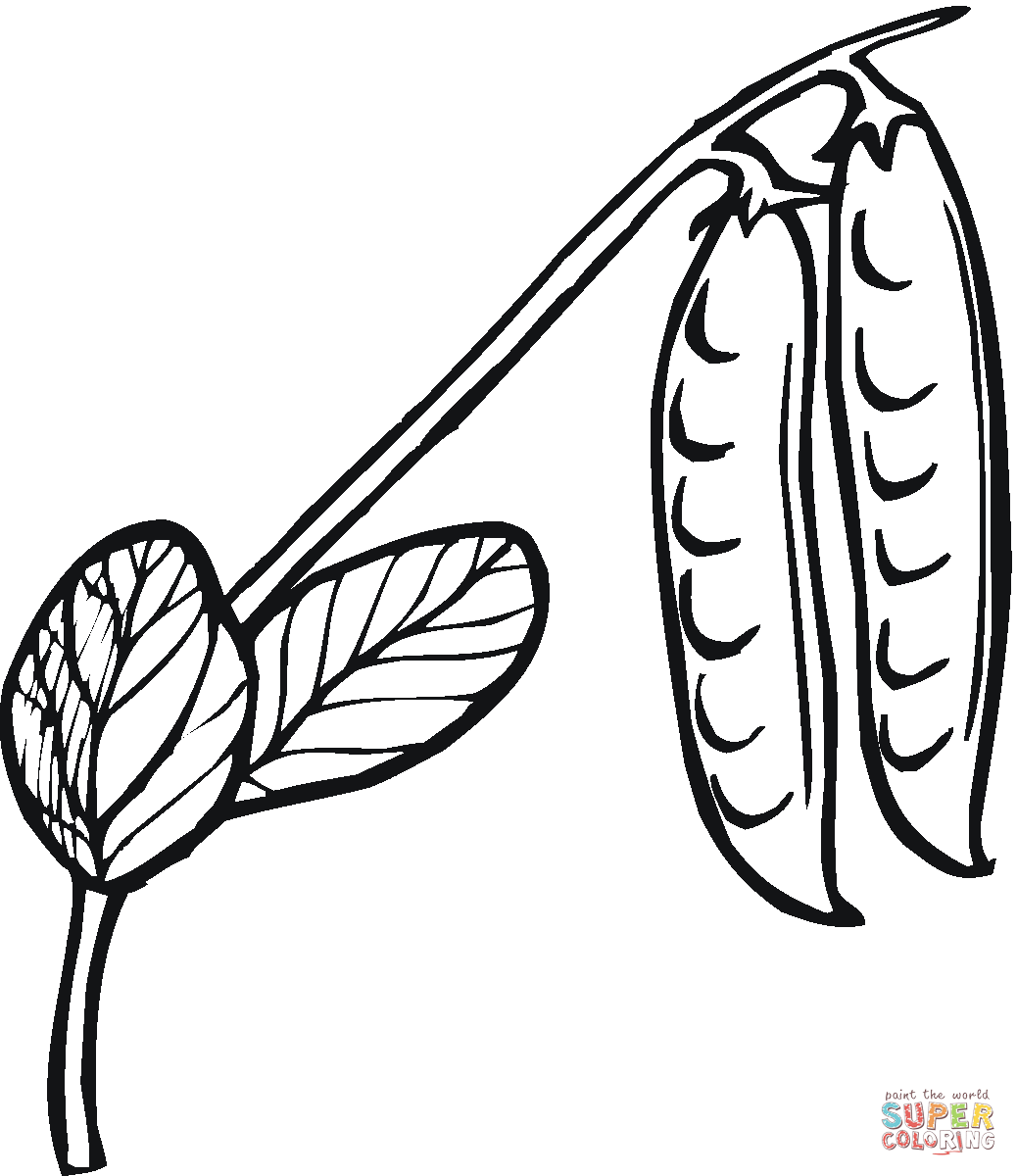 Peas coloring page free printable coloring pages