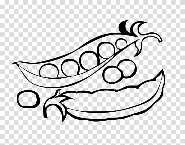 Free snow pea vegetable legume coloring book fried vegetables transparent background png clipart