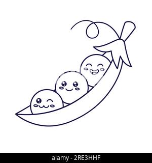 Coloring book or coloring page for kids peas black and white vector illustration nature background stock vector image art