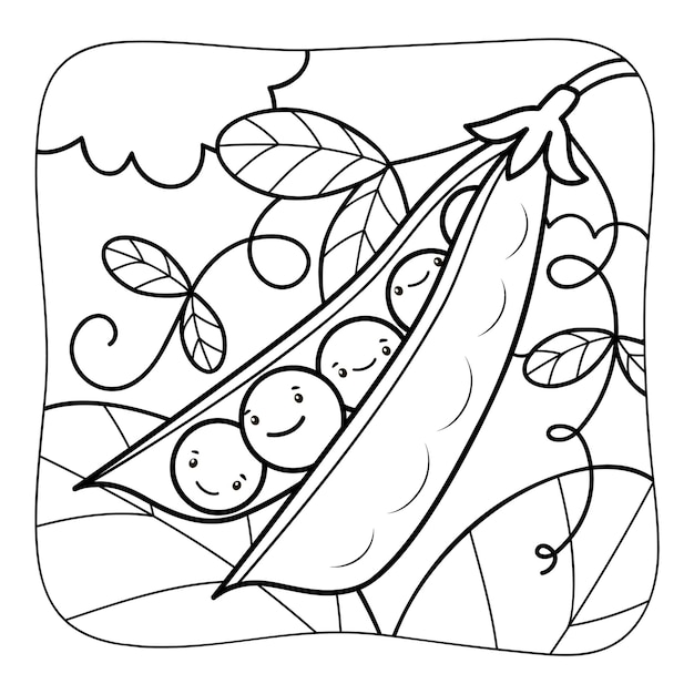 Premium vector peas black and white coloring book or coloring page for kids nature background