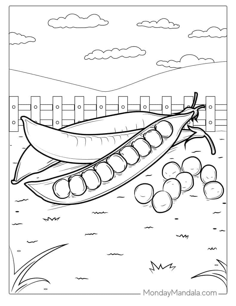 Vegetable coloring pages free pdf printables