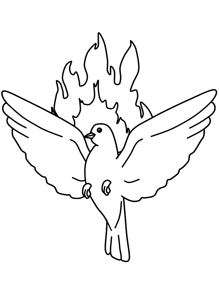 Pentecost dove colouring sheet
