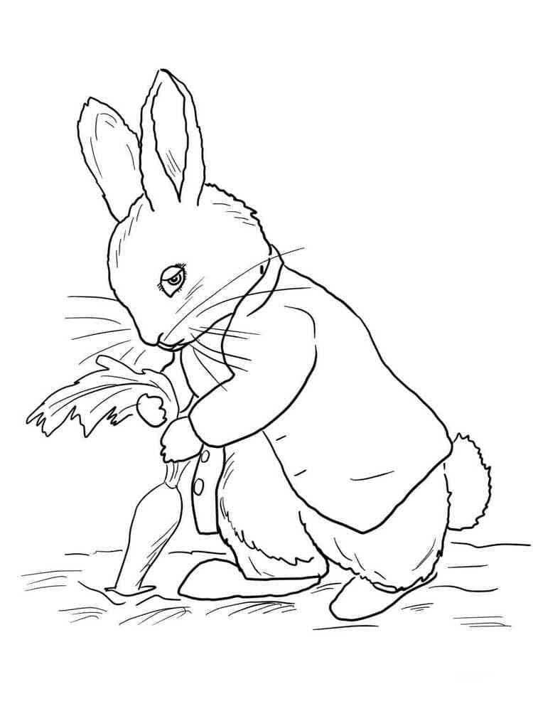 Peter rabbit and carrot coloring page