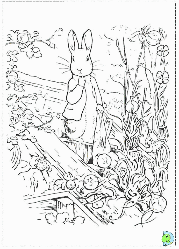 Peter rabbit vintage coloring pages rcoloringpages