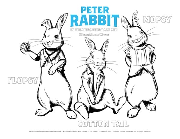 Peter rabbit printable activity sheets