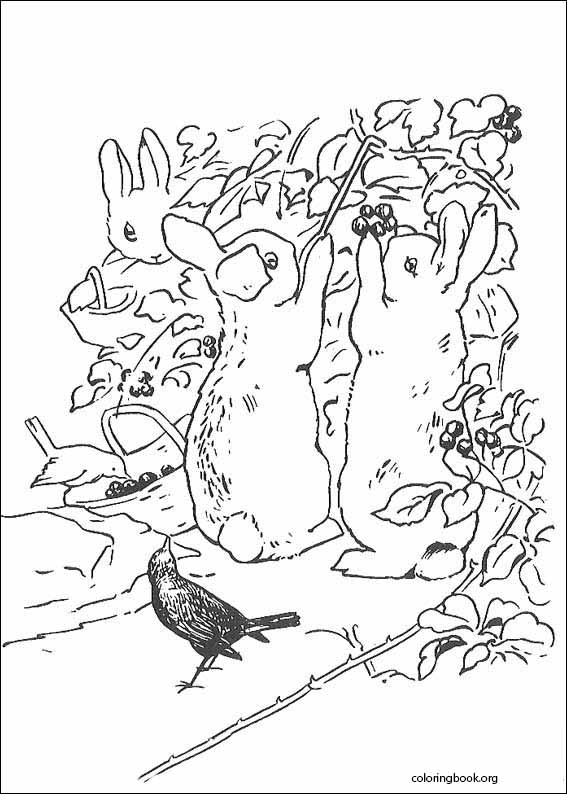Peter rabbit coloring page