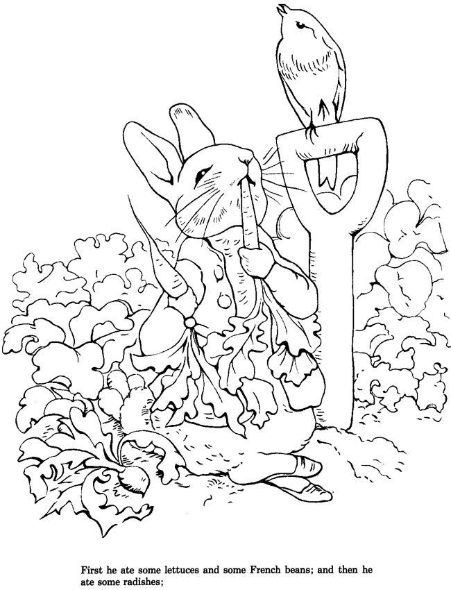 Download peter rabbit coloring page rabbit colors peter rabbit illustration coloring pages