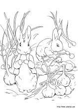 Peter rabbit coloring pages on coloring