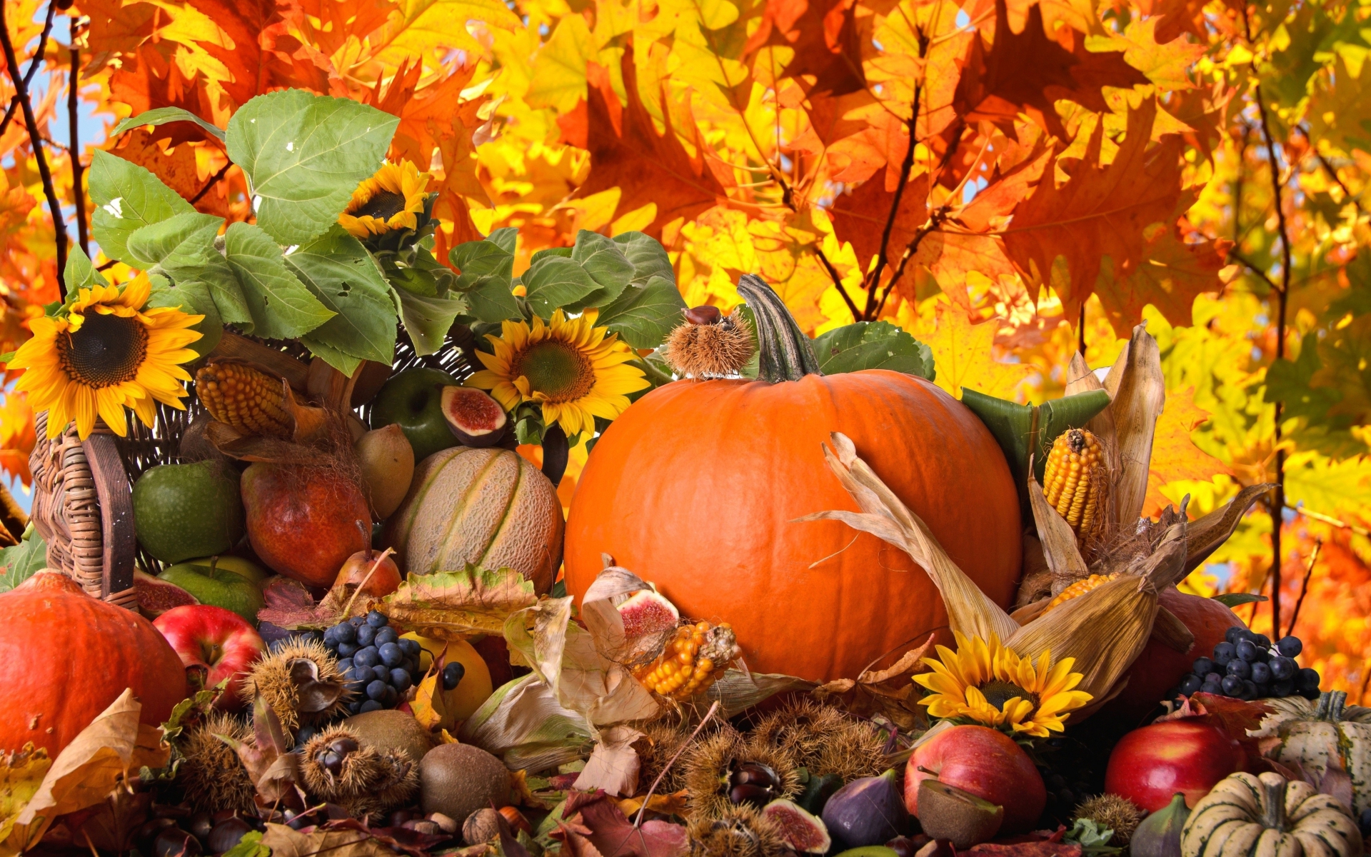 Thanksgiving hd papers and backgrounds