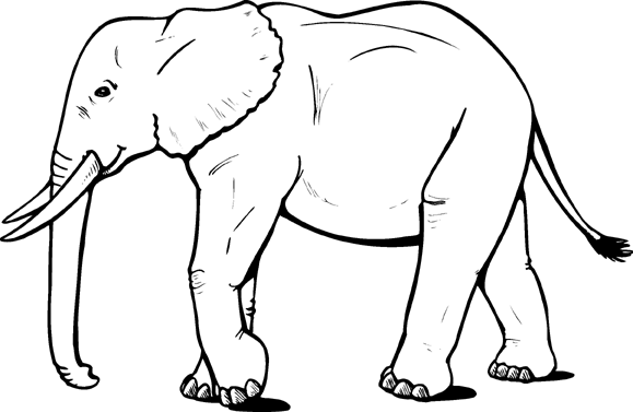 Elephant elephant coloring page elephant outline cartoon elephant