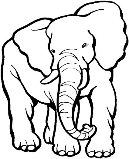 Elephant coloring page elephant coloring page coloring pag adult coloring pag