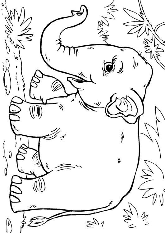 Coloring page asian elephant