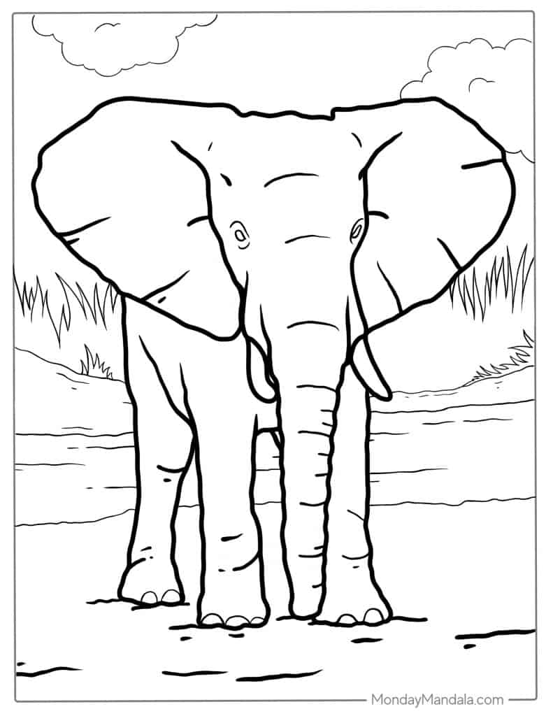 Elephant coloring pages free pdf printables