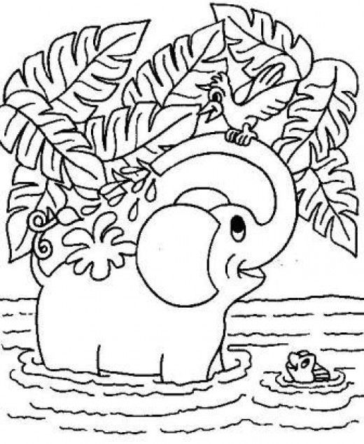 Elephant printable coloring pages elephant coloring page bird coloring pages free coloring pages