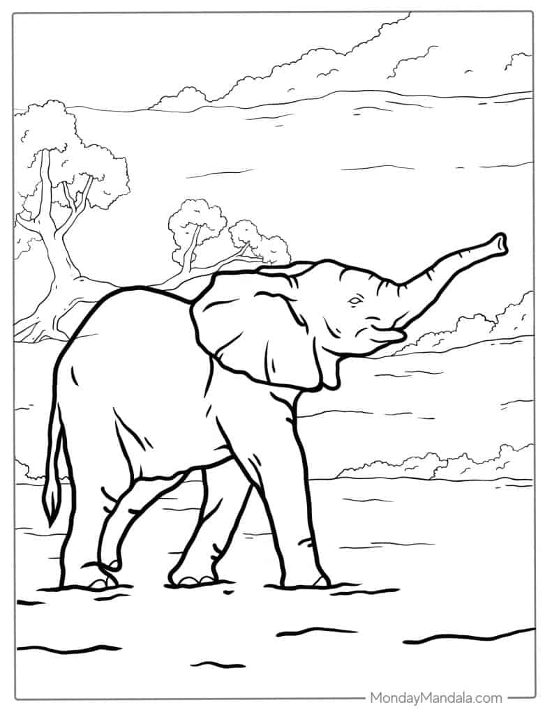 Elephant coloring pages free pdf printables