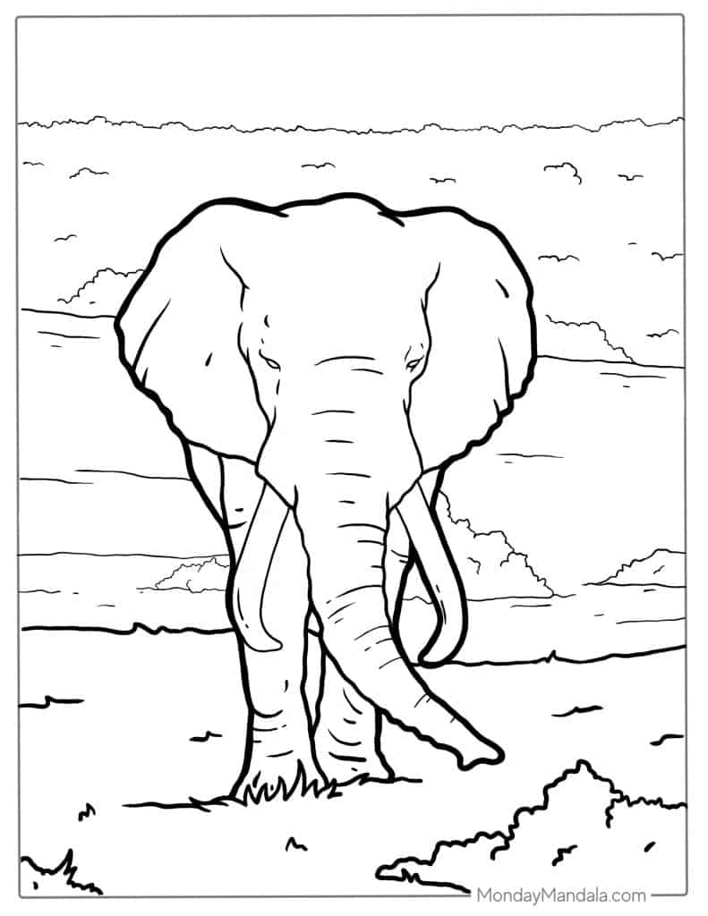 Elephant coloring pages free pdf printables