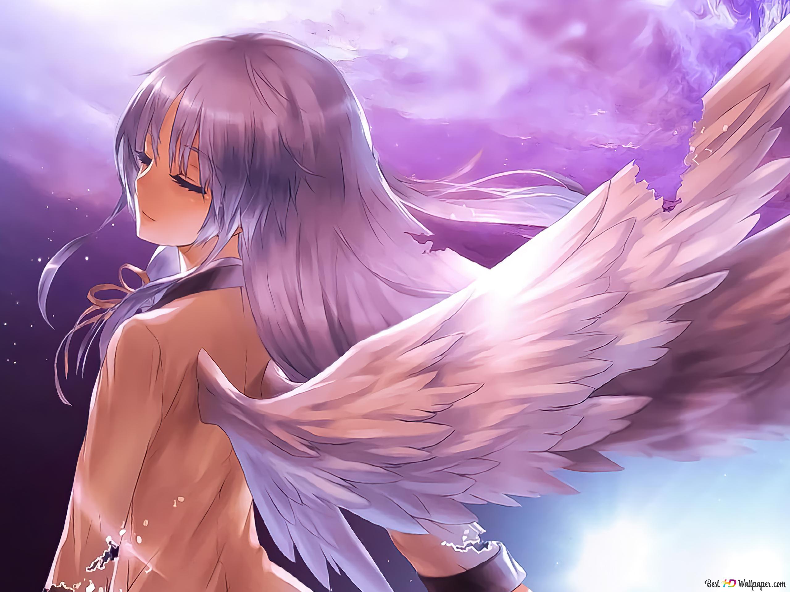 Attack on titan angel anime girl k wallpaper download