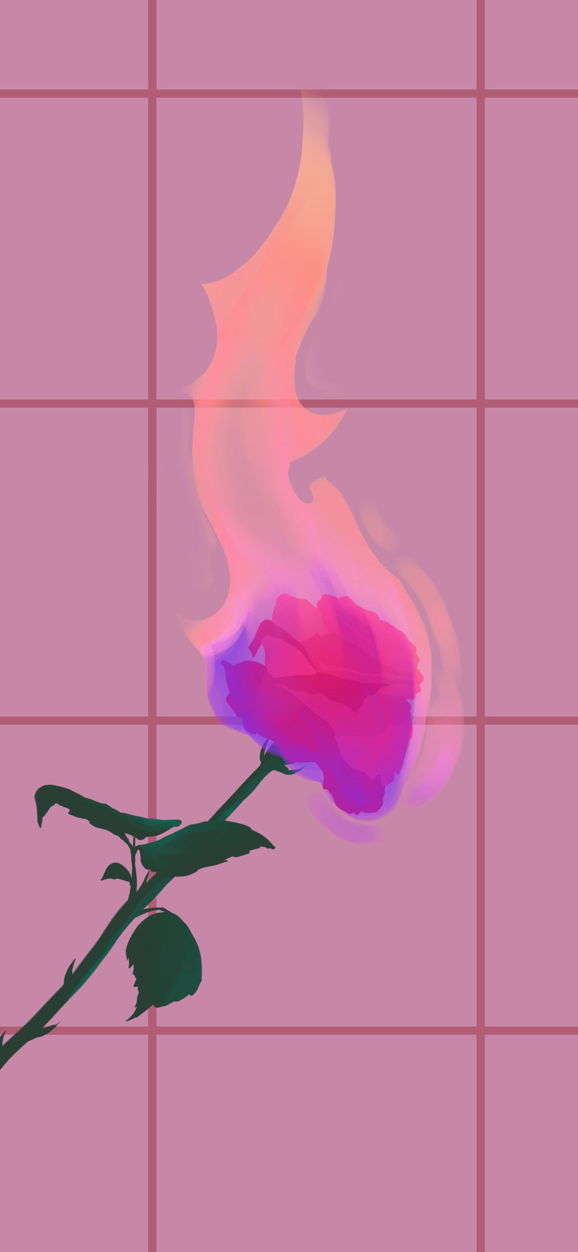 Rose on fire pink wallpaper