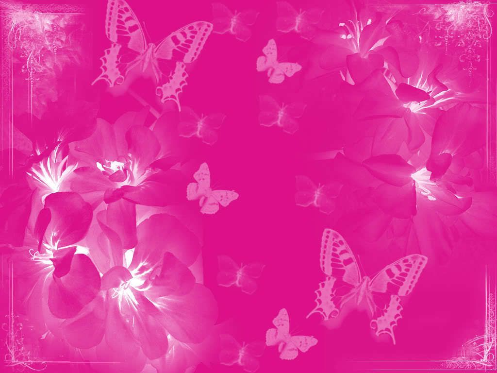 Pink color wallpaper pink wallpaper pink wallpaper butterfly wallpaper vs pink wallpaper