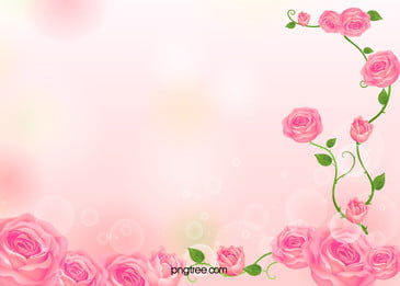 Pink flowers background photos and wallpaper for free download
