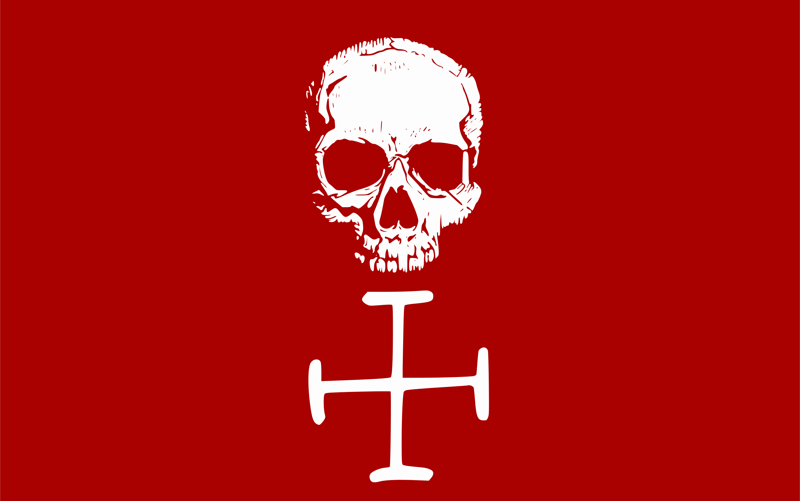 Flag skull and bones pirates pirate flag