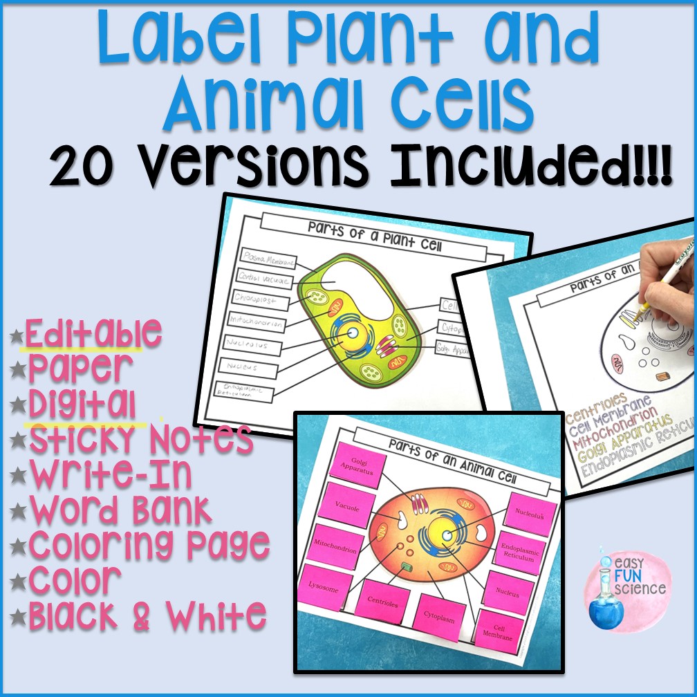 Label the cells plant and animal cells editable digital