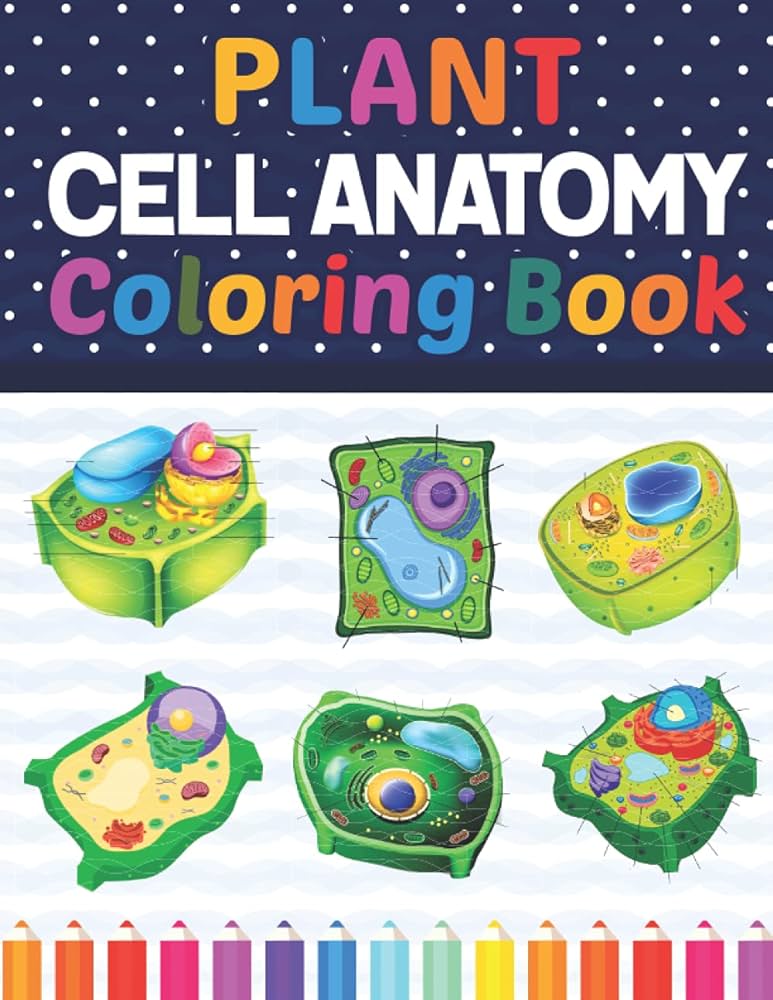 Plant cell anatomy loring book introduction to plant cell anatomy workbook relax design for anatomy students younger kids for learn anatomy of plant cells plant cell anatomy loring book for boys