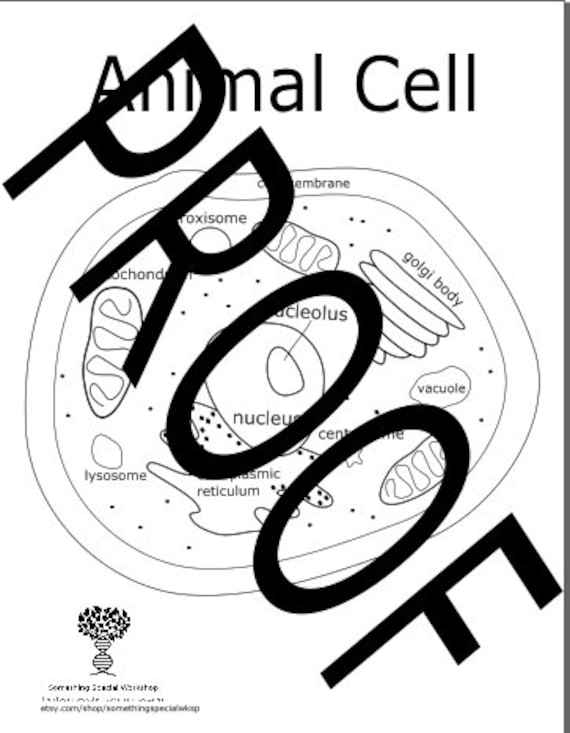 Animal cell coloring page instant download