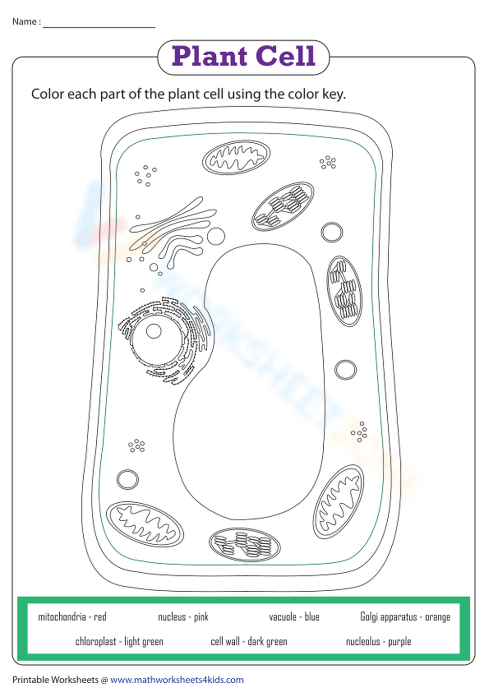 Plant cell anelles coloring worksheet