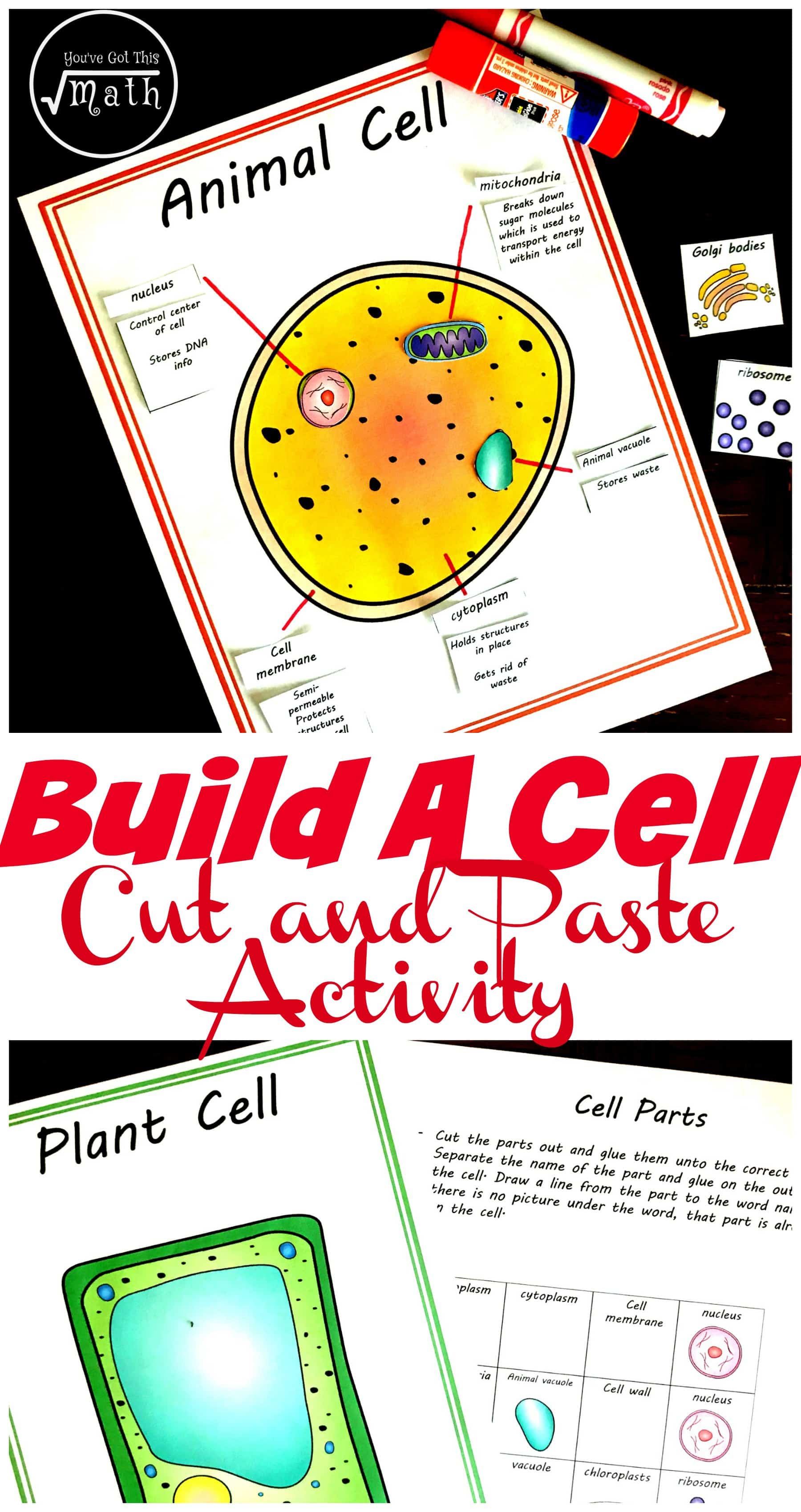 Free cut and paste animal and plant cell worksheet paring cells