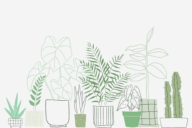 Plant images free hd backgrounds pngs vectors templates