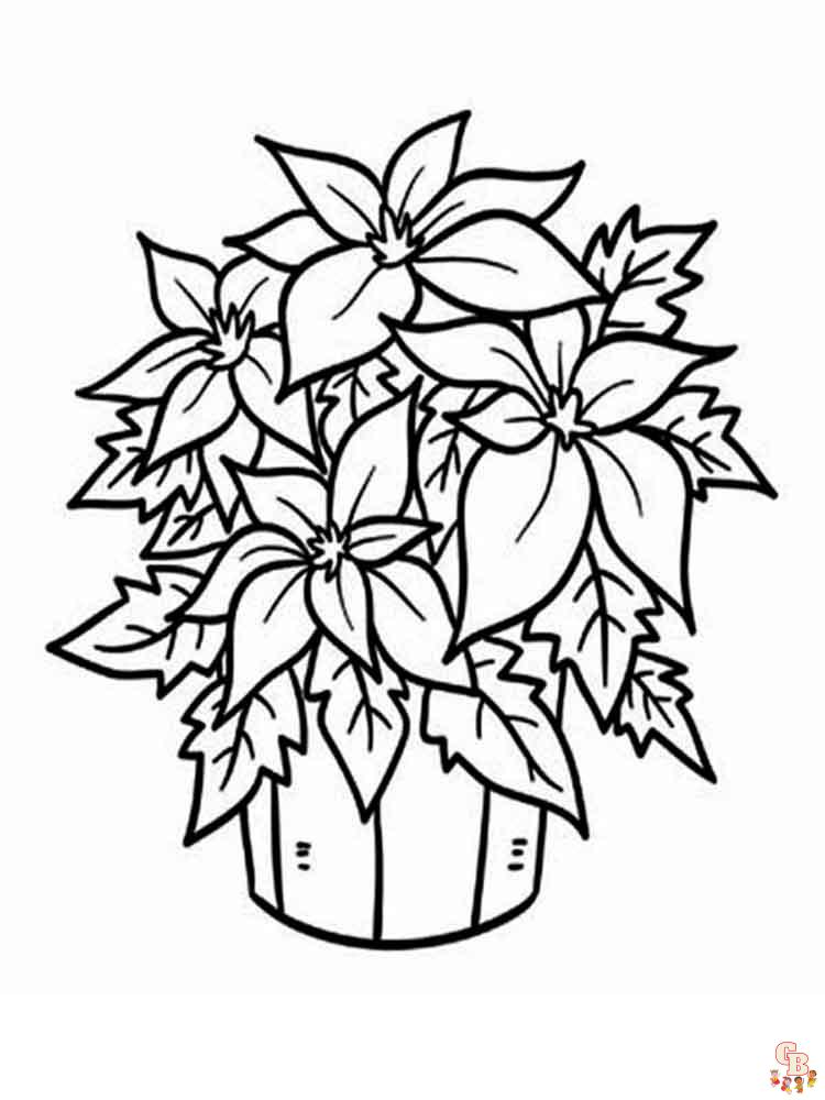 Get festive with poinsettia coloring pages