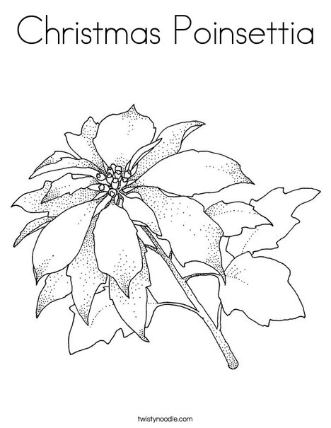 Christmas poinsettia coloring page