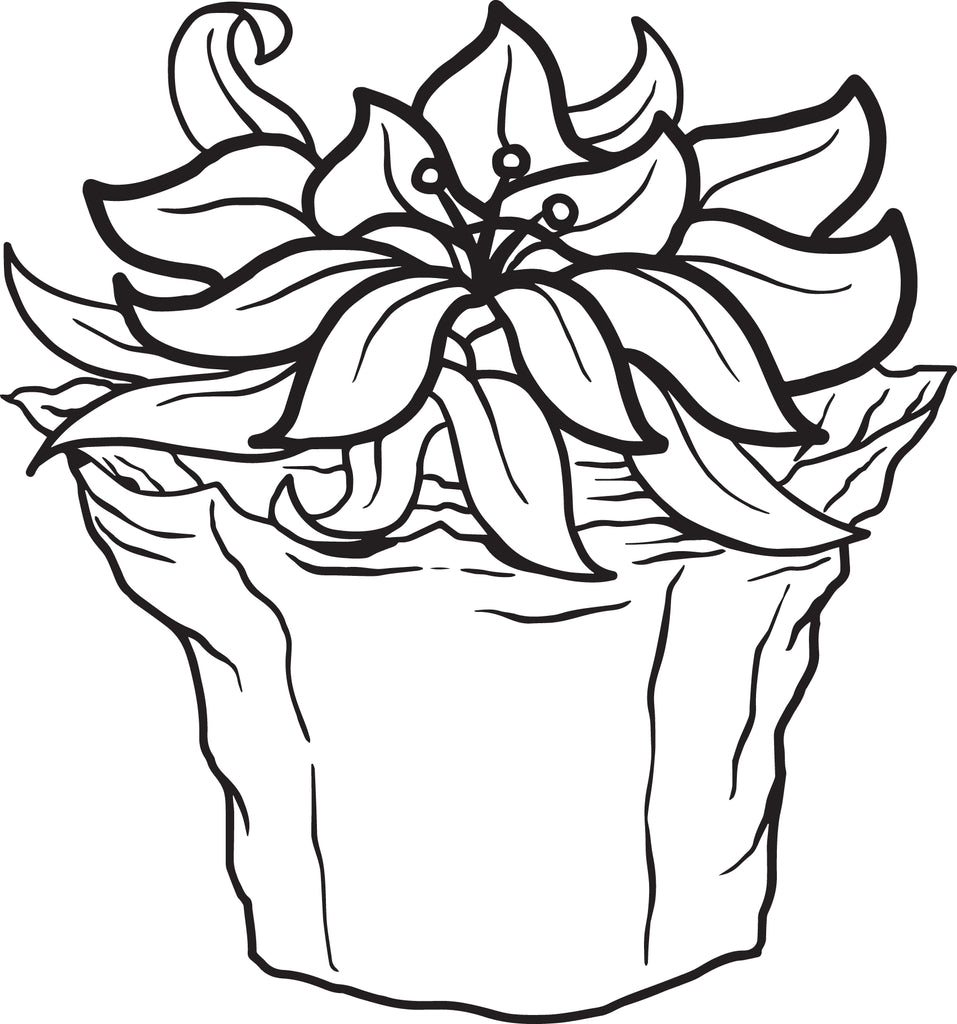 Printable poinsettia coloring page for kids â