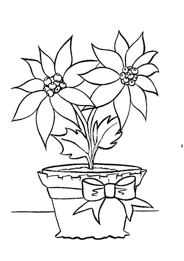 Coloring pages free printable poinsettia flower coloring pages