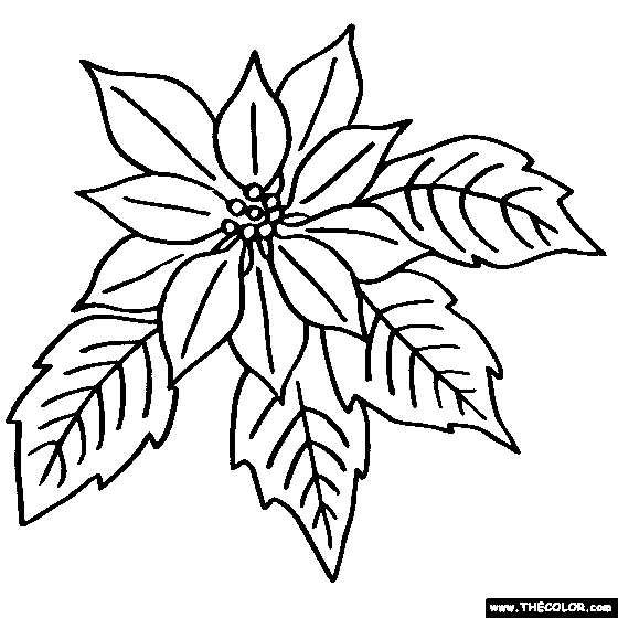 Newest coloring pages