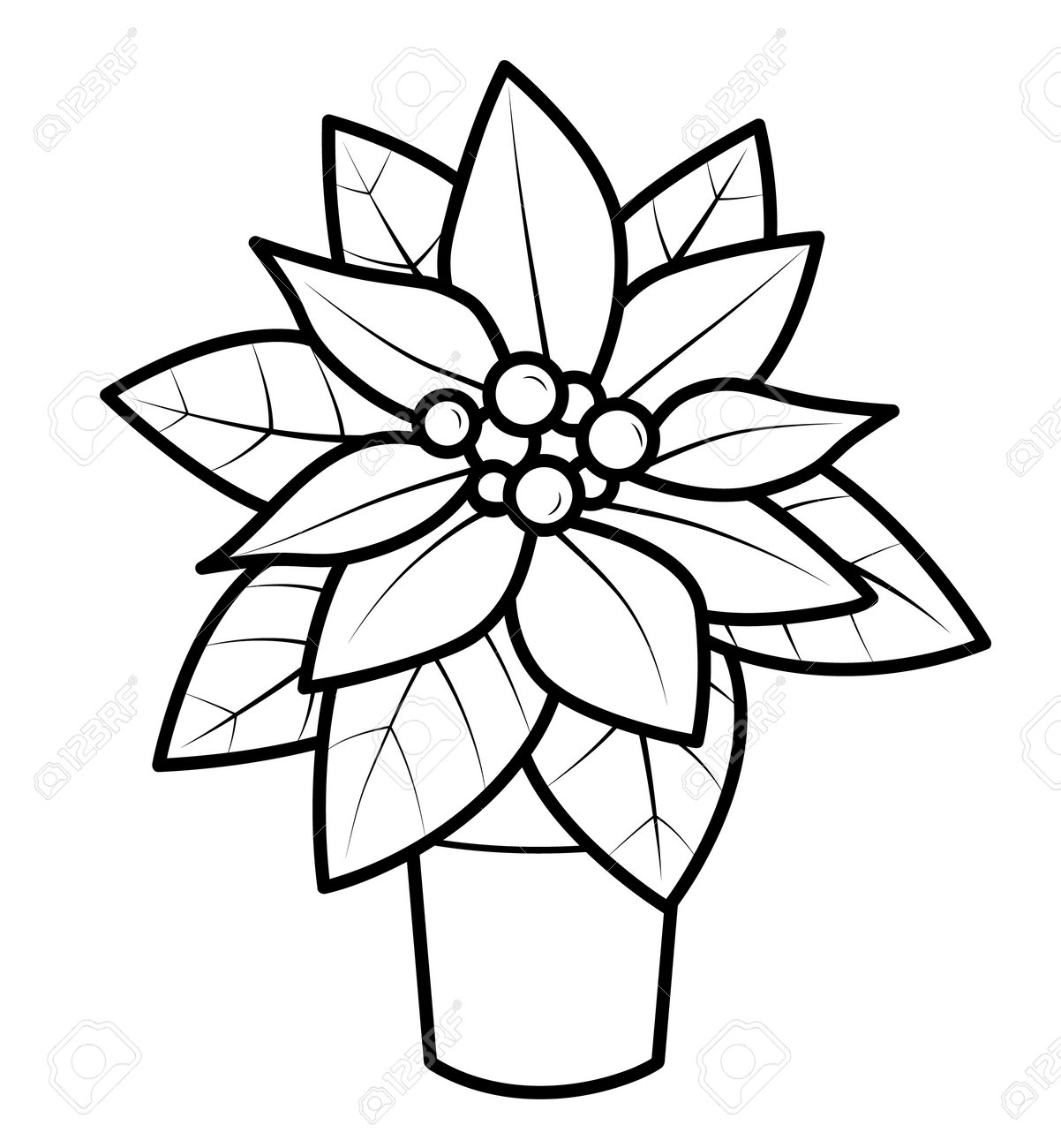 Christmas coloring book or page for kids poinsettia black and white vector illustration royalty free svg cliparts vectors and stock illustration image