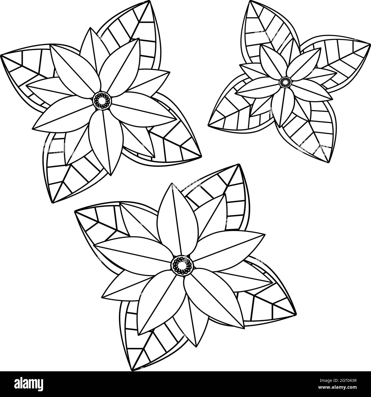 Hand drawn poinsettia flowerplant design elements botanical logo coloring page with poinsettia stock vector image art
