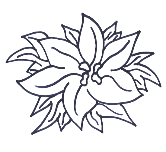 Christmas poinsettia coloring pages team colors