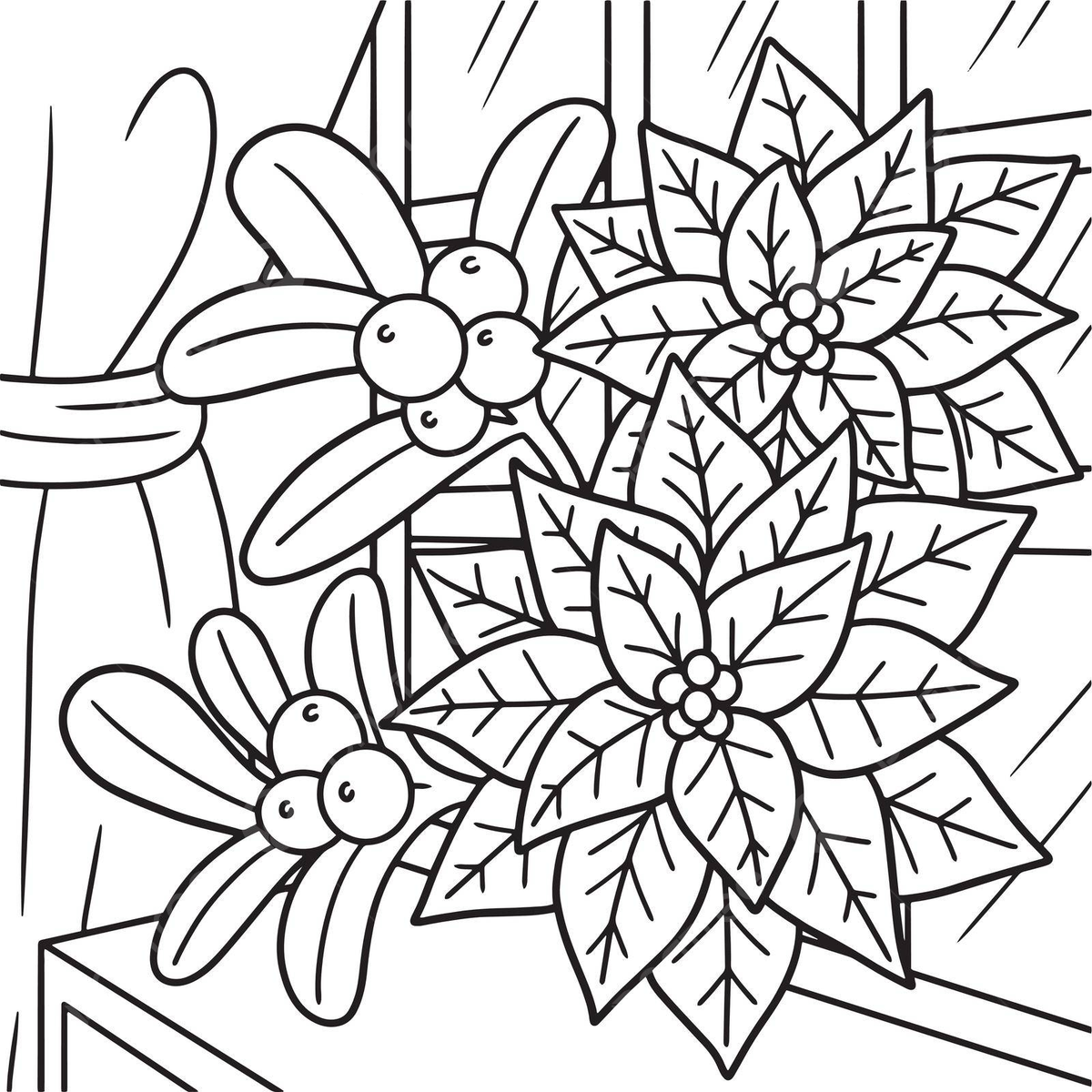 Christmas poinsettia coloring page for kids holiday greeting page vector holiday greeting page png and vector with transparent background for free download
