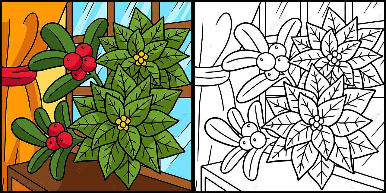 Christmas poinsettia coloring page illustration yuletide coloring page colour vector christmas drawing rat drawing ring drawing png and vector with transparent background for free download