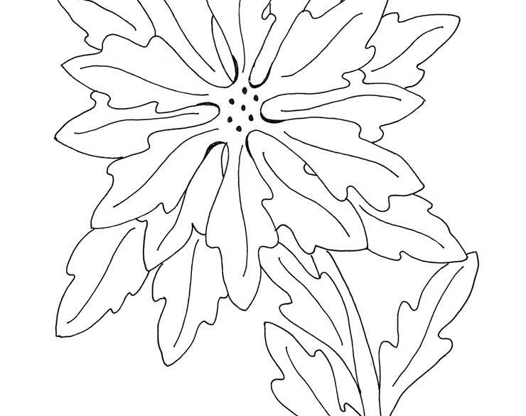 Poinsettia coloring page â wee folk art