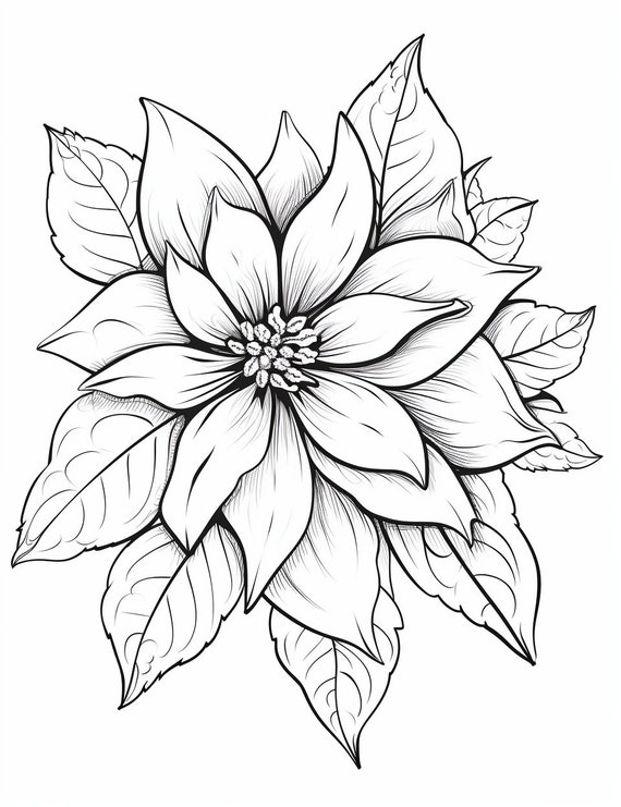 Poinsettia flower coloring page flower portrait printable coloring page journal coloring for adults instant download mercial use